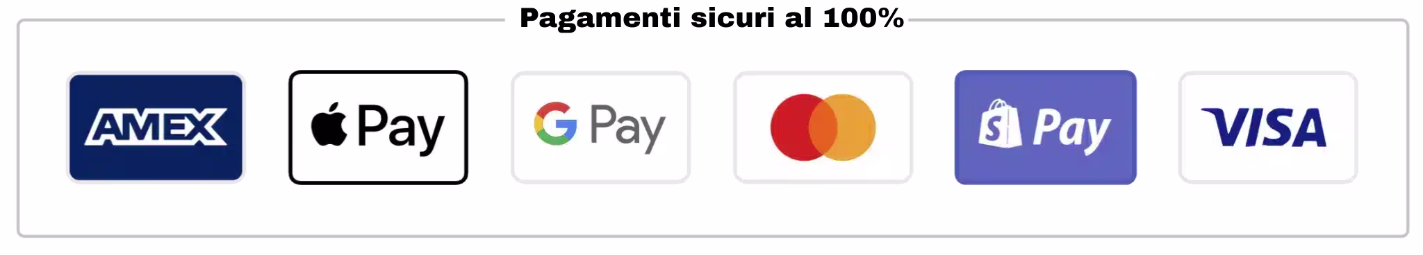 Pagamenti sicuri al 100%