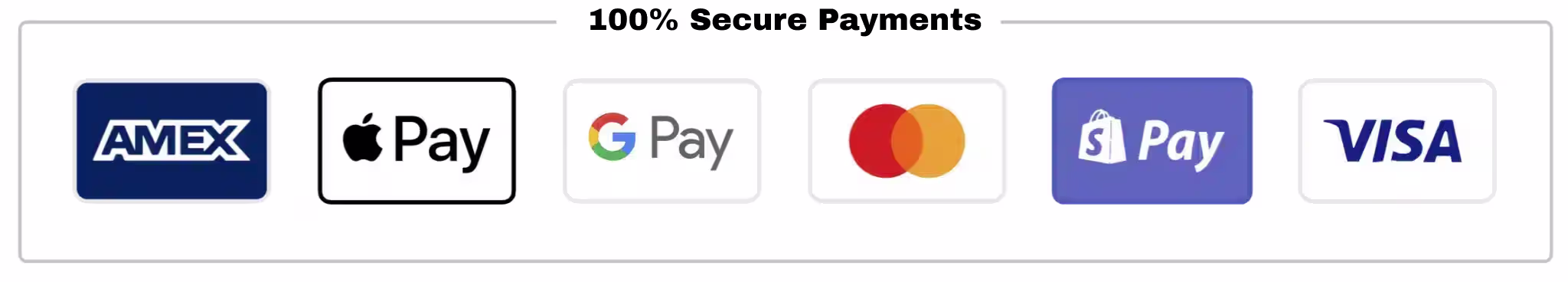 100% Secure Payments