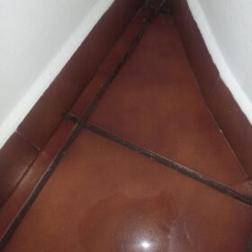 COMFEE MDDPE-30DEN7 | Deshumidificador Potente 30L/día Profesional photo review