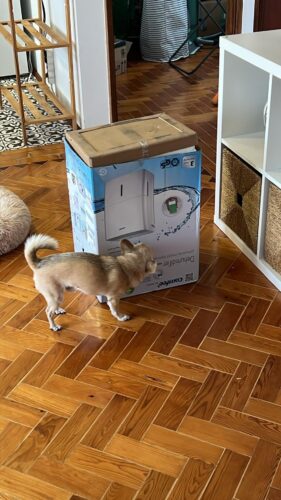 COMFEE CDDAE-30DEN7-QA3 | Deshumidificador 30L Inteligente con App - Depósito Extraíble photo review